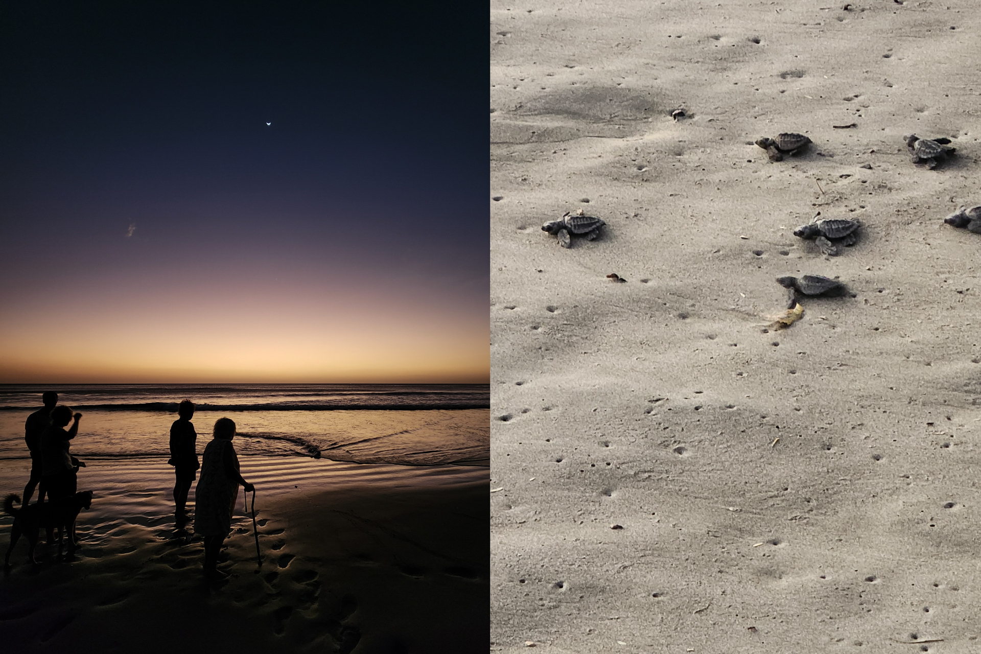 Crossing Borders — 12