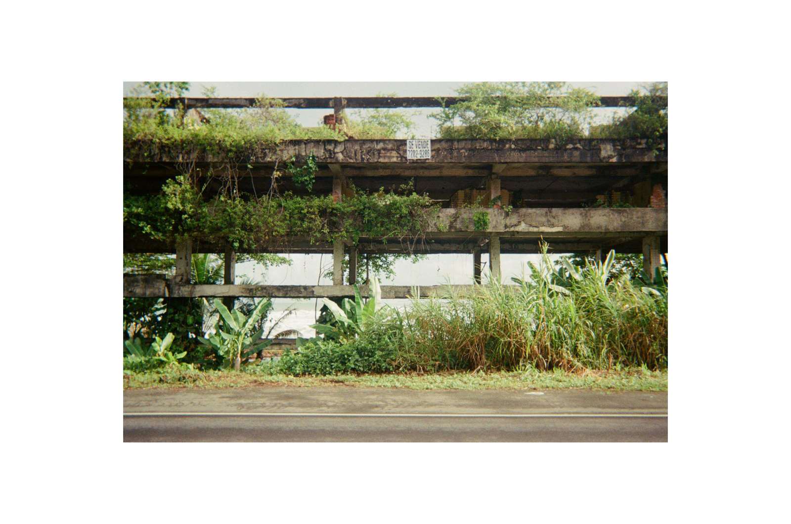 Crossing Borders — 6