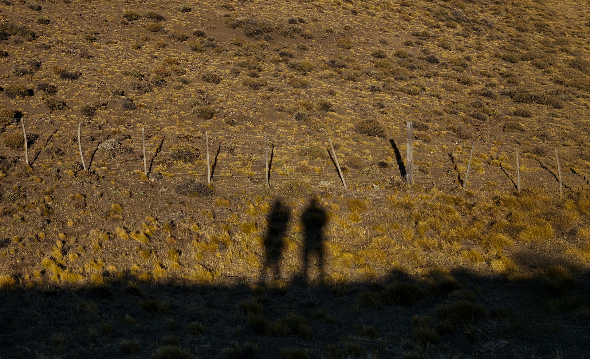 Mud, Sand, and Wind — 13