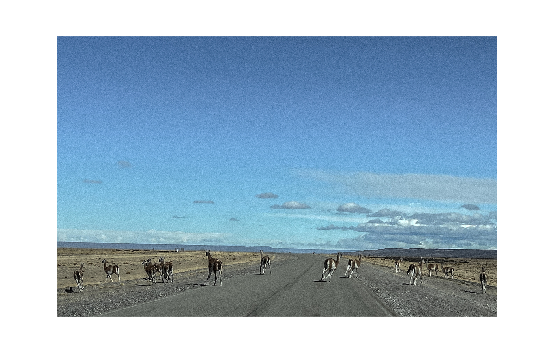 Mud, Sand, and Wind — 12