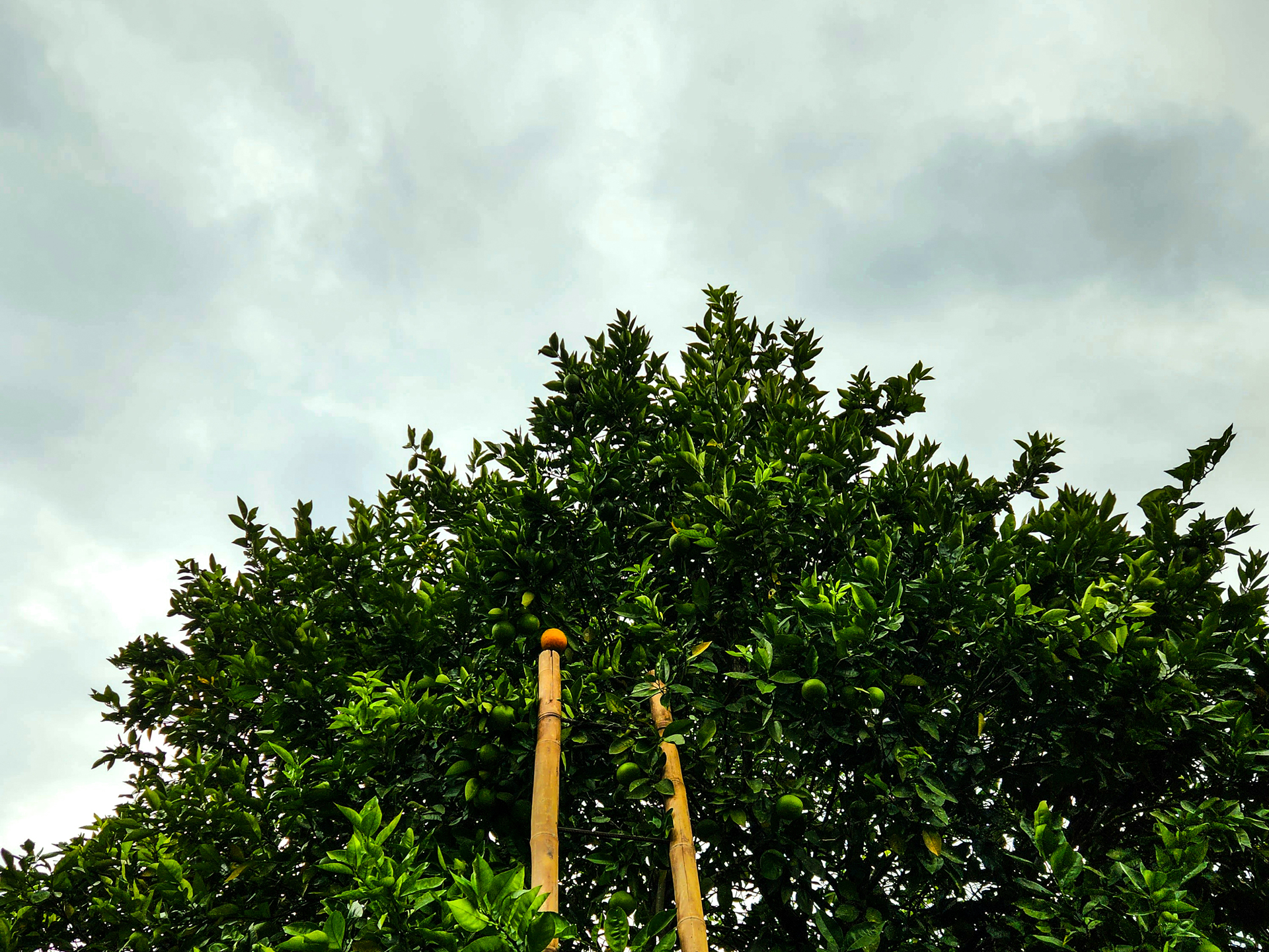 Latitude S0°0'0" — 4