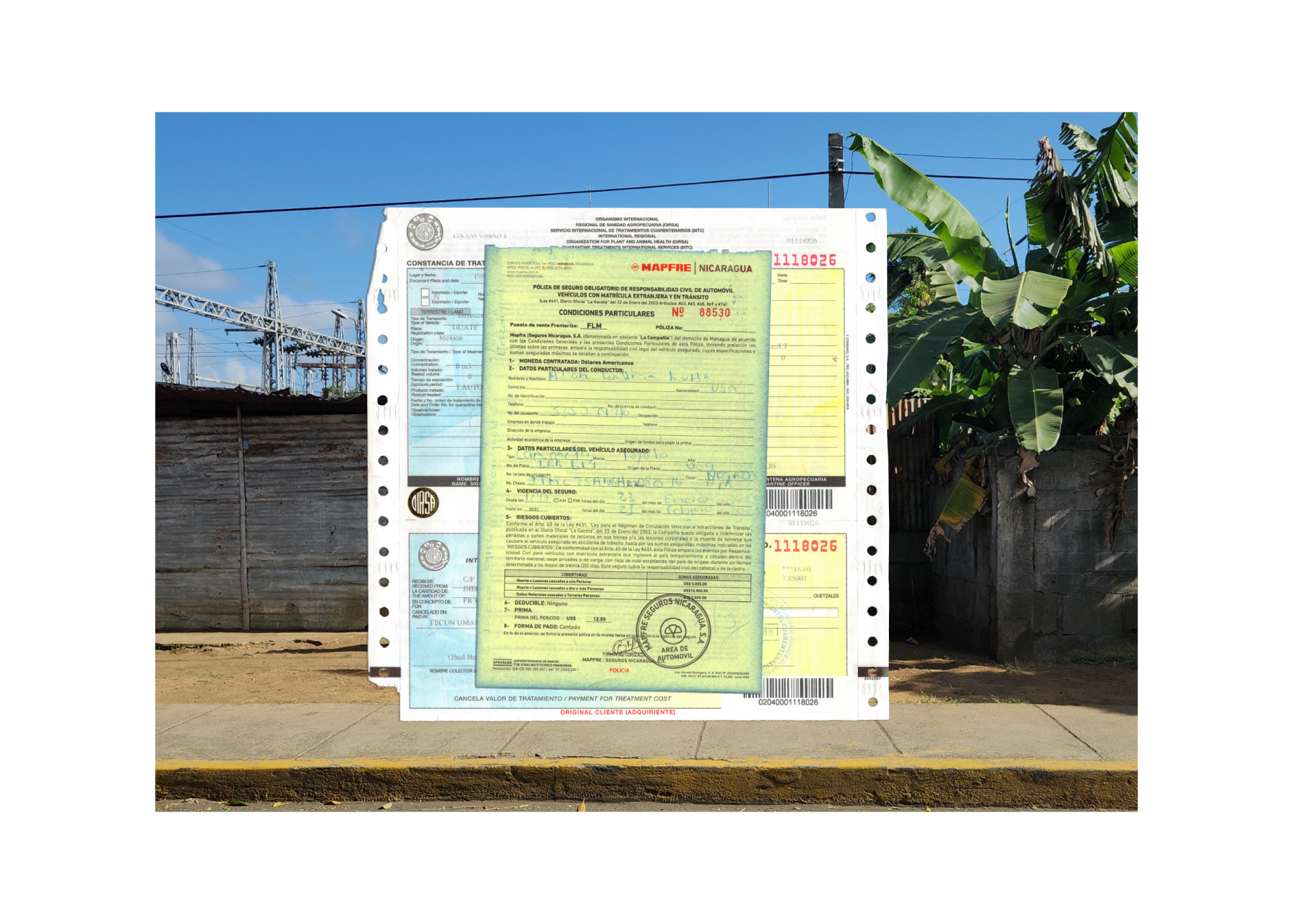 Crossing Borders — 10